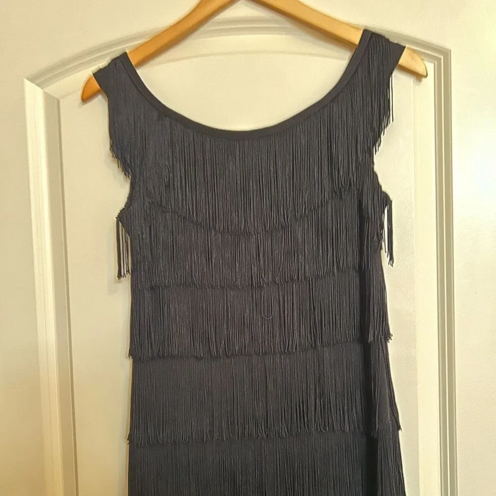 EUC White House Black Market Flapper Dress(size XXS) - Picture 4 of 7